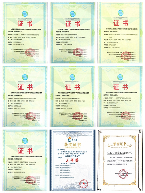 日韩在线
学生在2020年各项全国大学生创新创业中取得优异成果.jpg